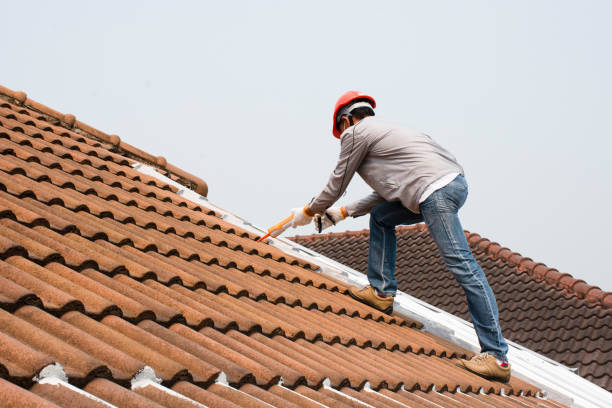 Best Roof Insulation Installation  in Edgerton, KS